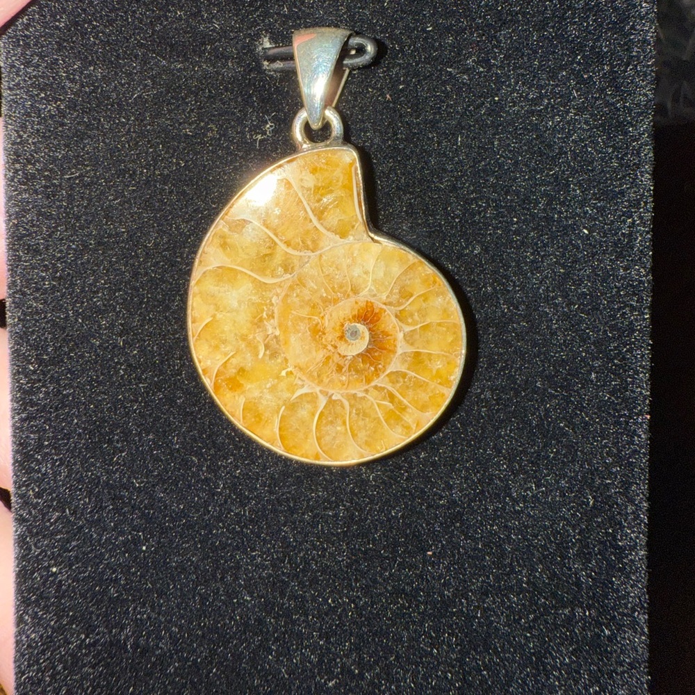 Ammonite fossil pendant